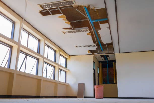 Best Water damage cleanup near me  in Shadeland, IN