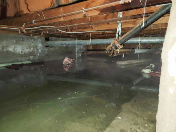 Best 24-hour water damage restoration  in Shadeland, IN