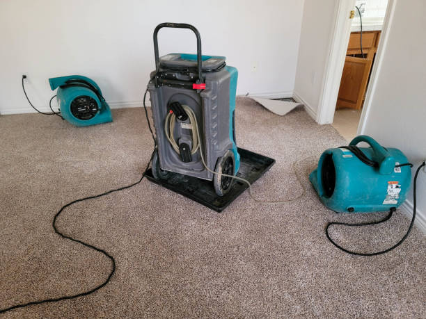  Shadeland, IN Water damage restoration Pros