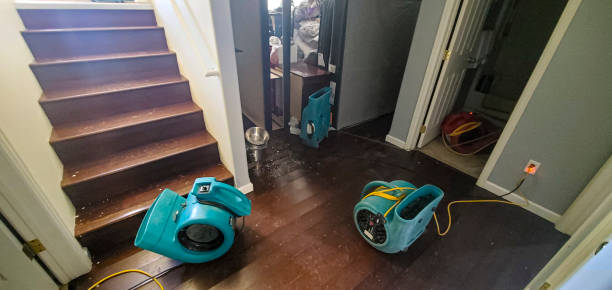 Best Fire Damage Restoration  in Shadeland, IN