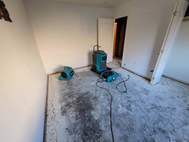 Best Water damage restoration near me  in Shadeland, IN