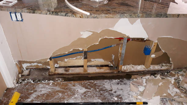 Best Emergency water damage restoration  in Shadeland, IN