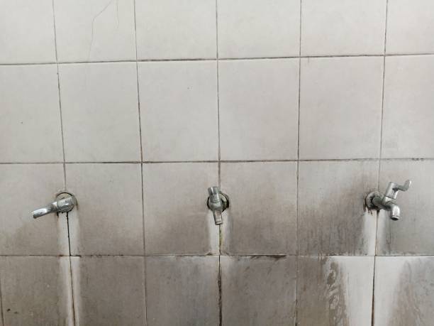 Best Flooded house restoration  in Shadeland, IN