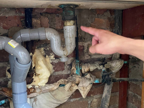 Best Flood restoration services  in Shadeland, IN