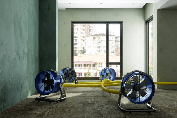 Best 24/7 water damage repair  in Shadeland, IN