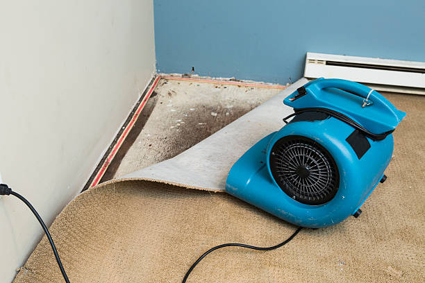 Best Water damage restoration company  in Shadeland, IN